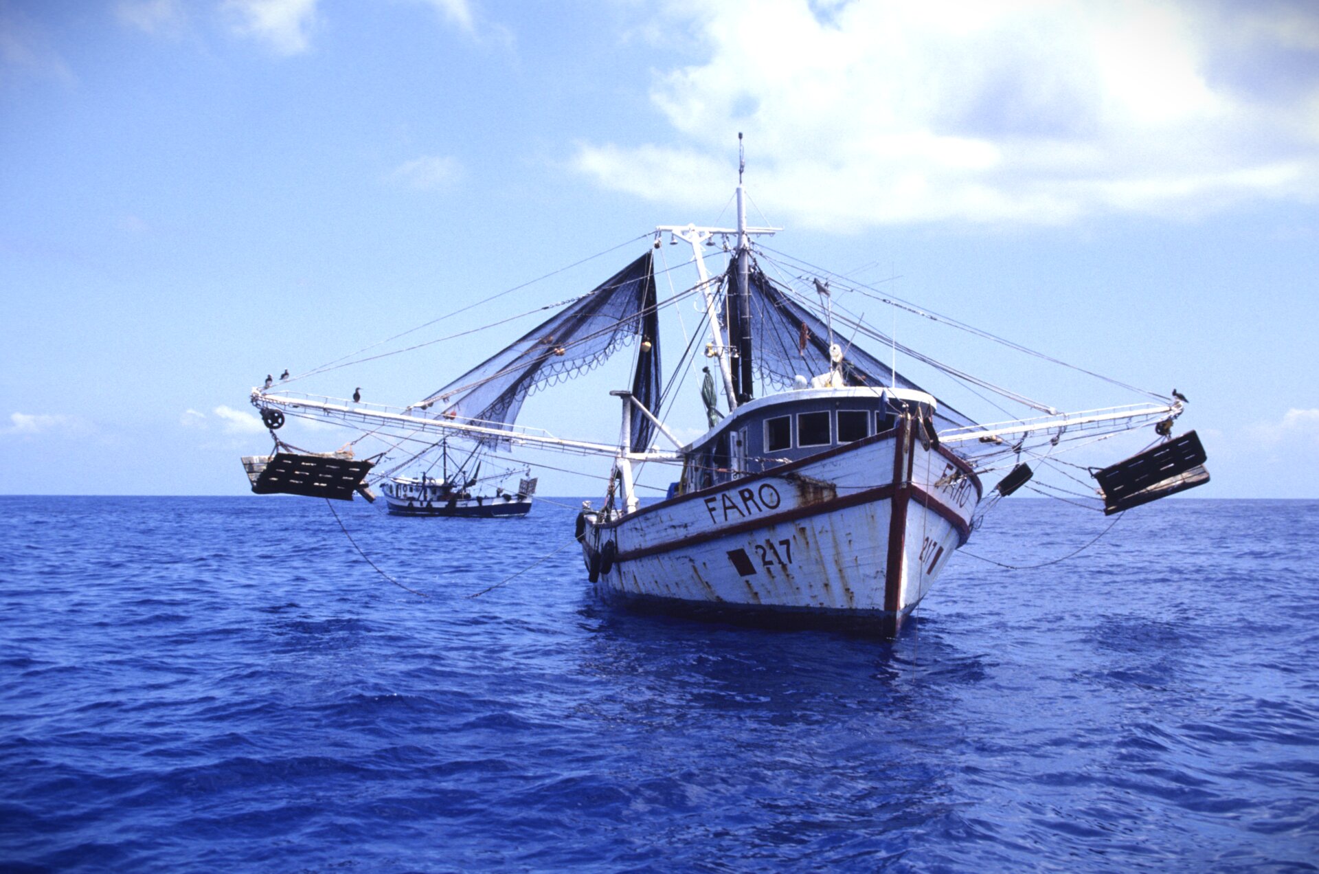 Tuna fishing vessel deploying nets at sea