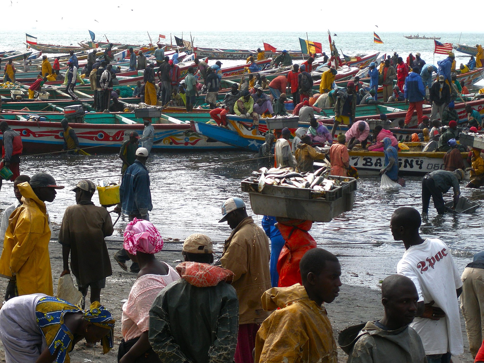 Artisanal fishing market in West Africa